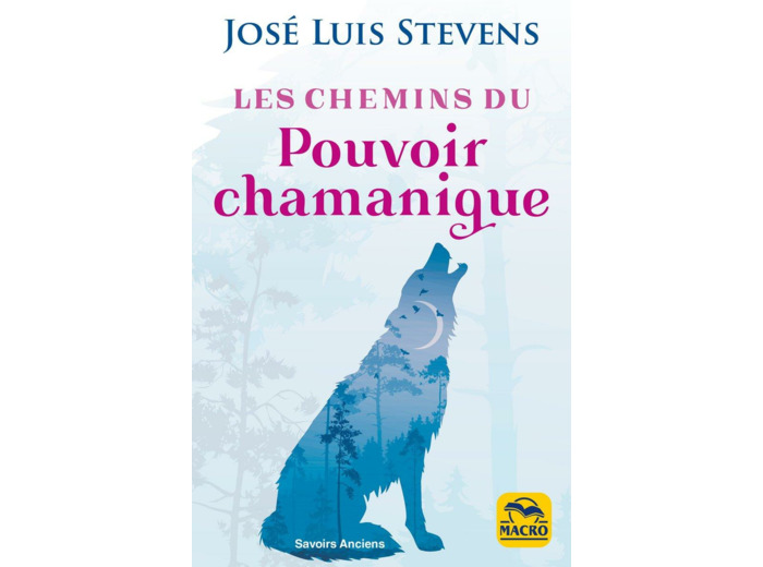 Les Chemins du Pouvoir Chamanique