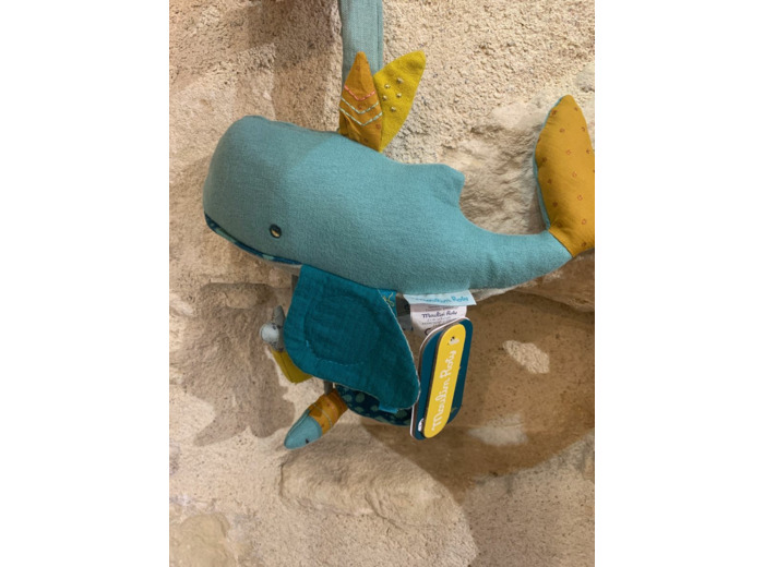 Baleine d’activités