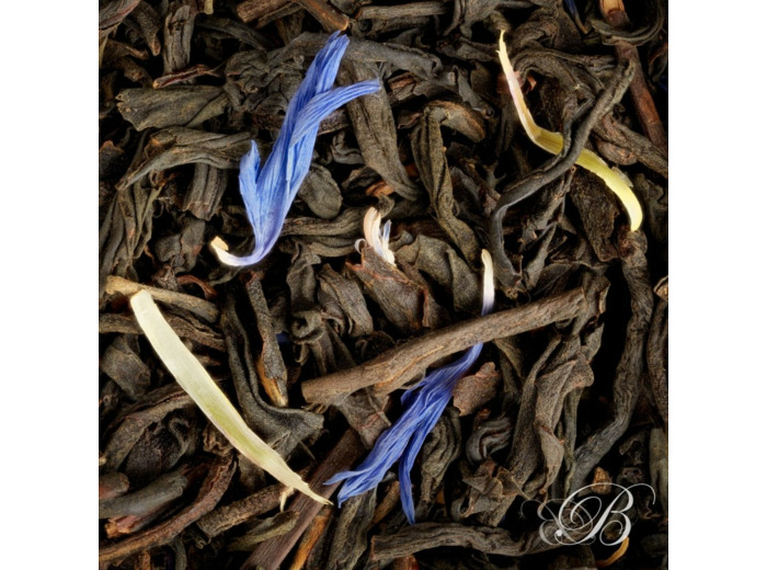 Gentleman à Deauville