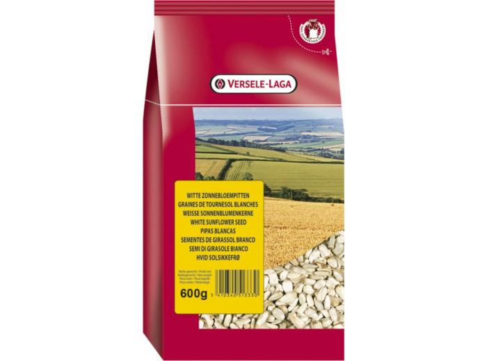 Tournesols blancs - 500g