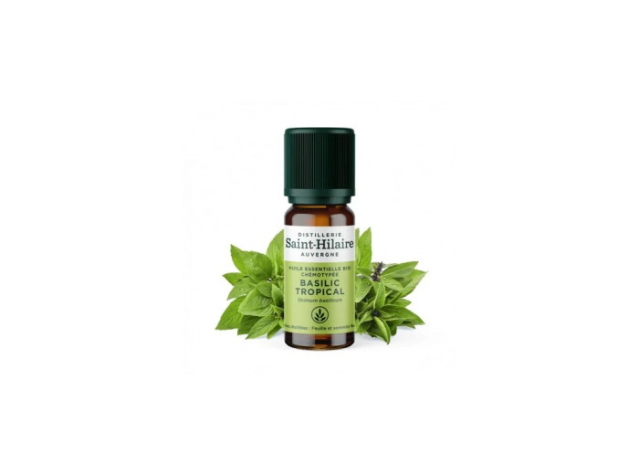 Huile essentielle Basilic Tropical bio 10ml