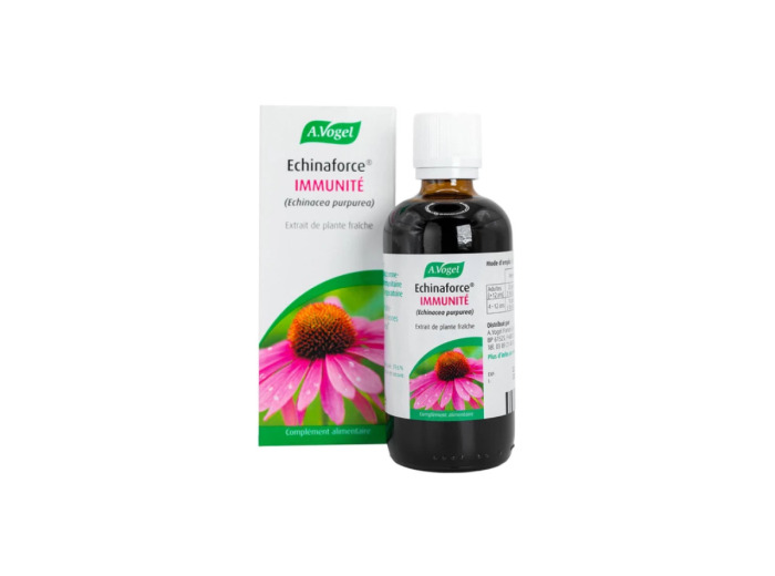 Echinacea Extrait liquide Flacon compte gouttes 100ml