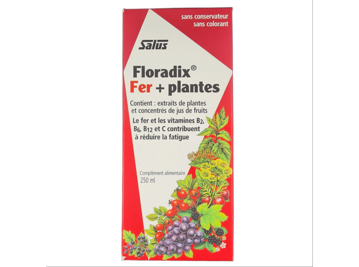Floradix Fer + Plantes 250 ml