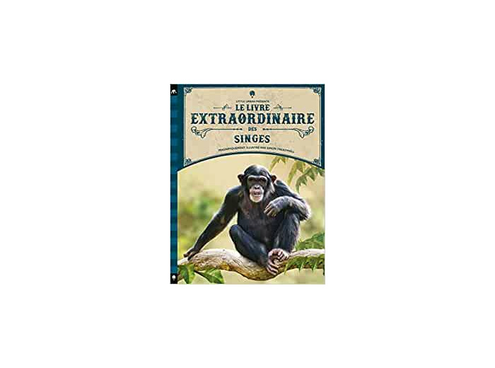 Le livre extraordinaire des singes