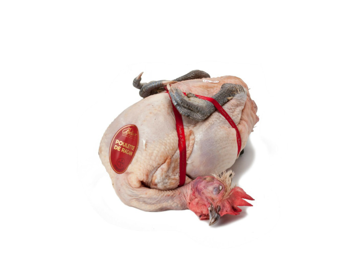 Poulette de Racan prête à cuire