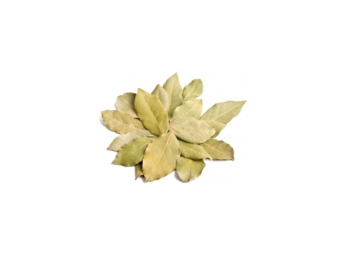 Laurier Sauce Feuille entière Bio 100g