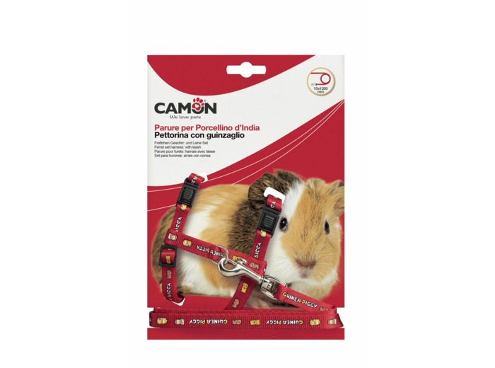 Harnais + laisse pour cochon d'Inde avec motifs - 1,2m de long