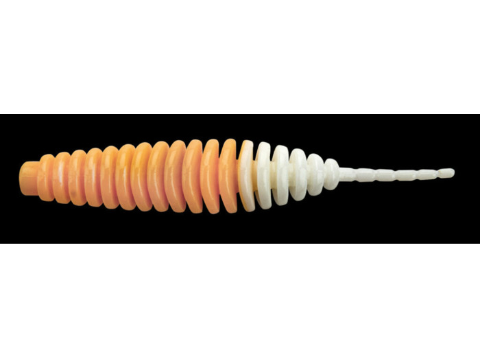 tanta trout two tone fish up