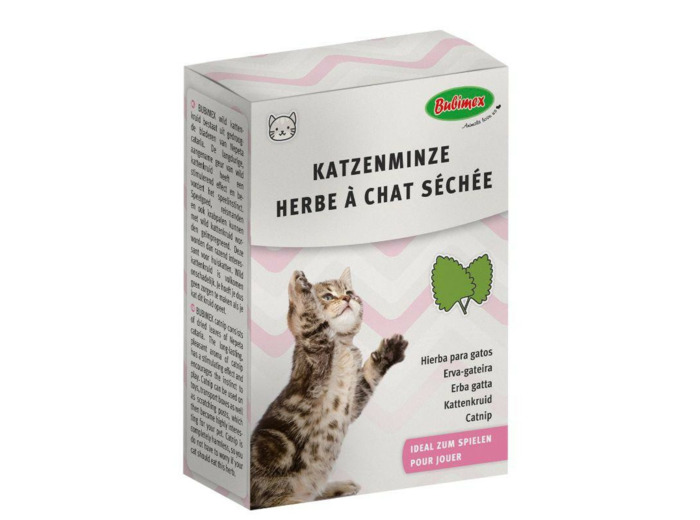 Herbe à chat séchée - 20g