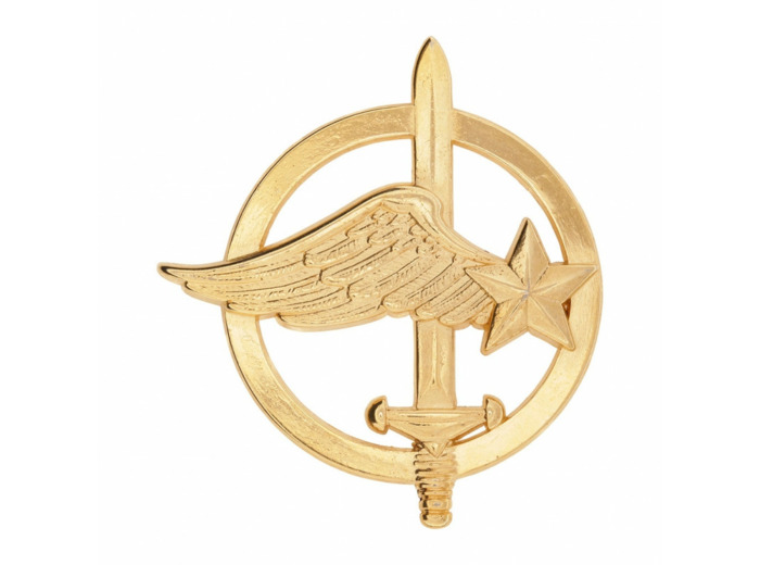 Insigne Fusilier Commando de l'air