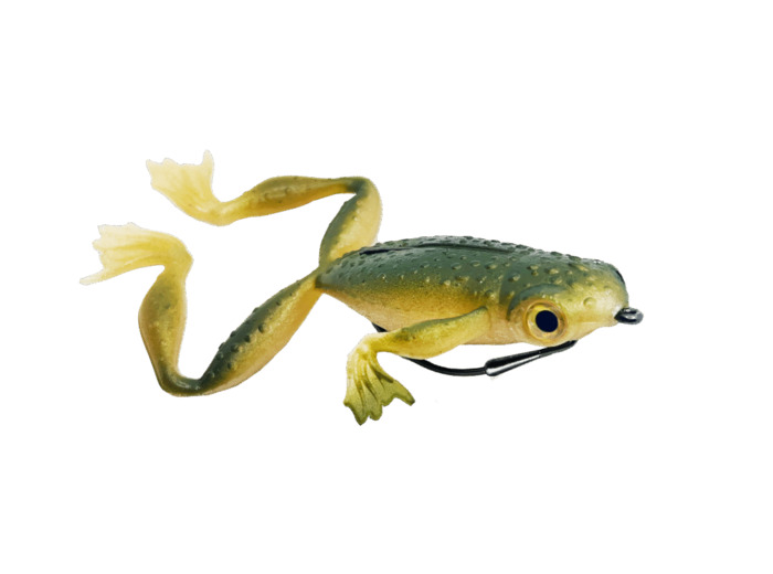 froggy tropical green 14cm