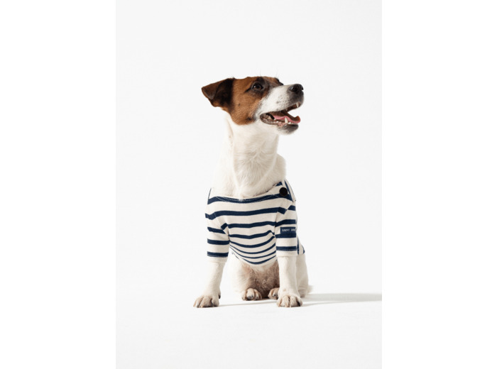 La Toutounière SAINT JAMES marinière pour chien
