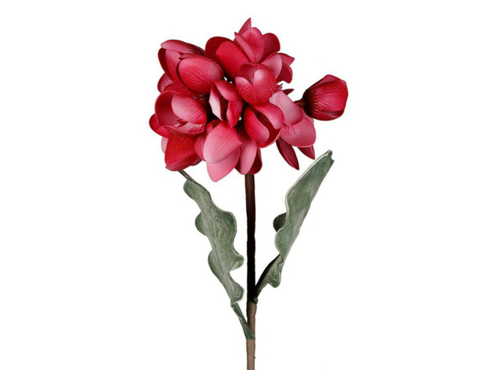 Fleur Campia Fuchsia Haute Tige 82cm