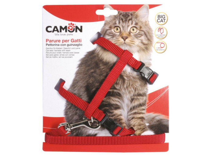 Harnais + laisse en nylon spécial grand chat