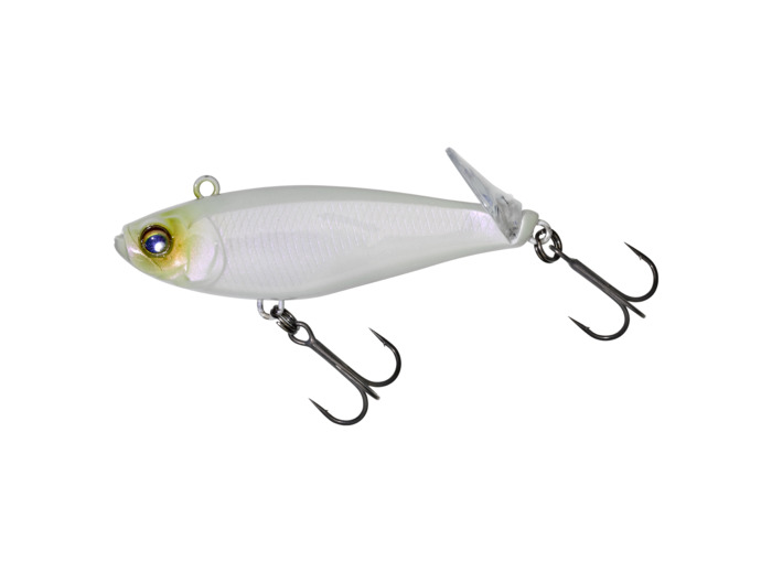 tsukumo 66 bone illex