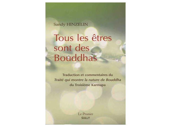 Tous les êtres sont des Bouddhas - Traité qui montre la nature de Bouddha du 3e Karmapa