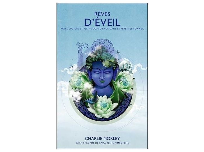 Rêves d'éveil - Rêves lucides et pleine conscience dans le rêve & le sommeil