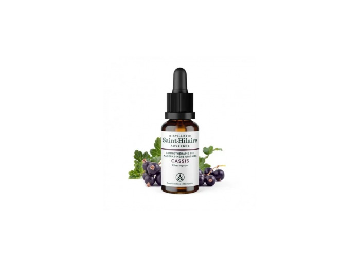 Macérat de bourgeons de Cassis bio 30ml