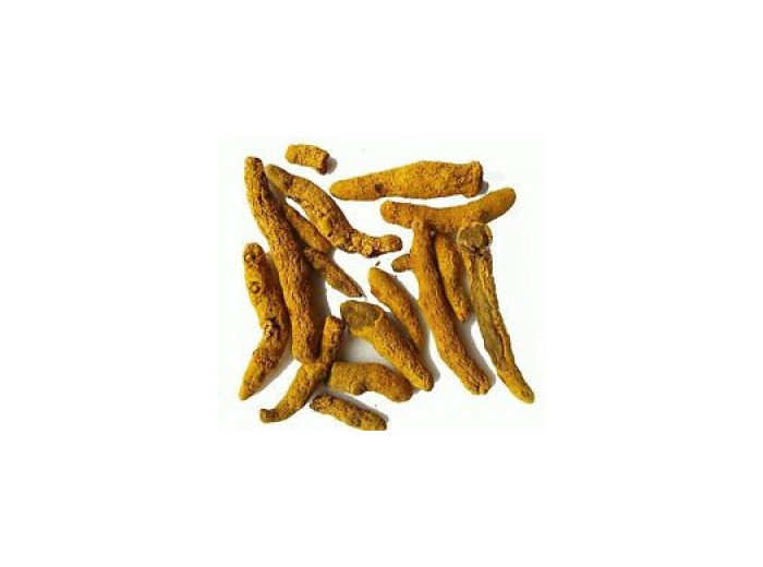 Curcuma racine coupé Rhizome QR 100 gr