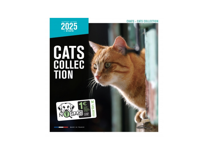 Calendrier chat 2025 - Chats - Martin