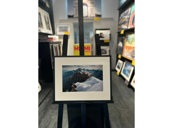 The scale of nature 2.0 - Jacub polomski