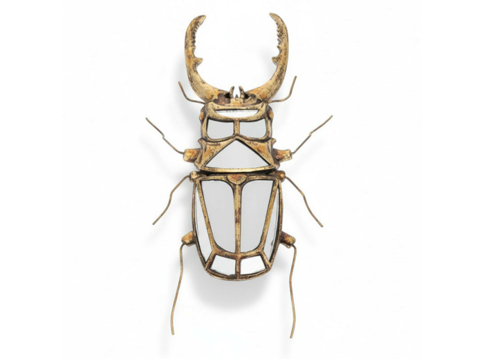 Miroir scarabée à pinces 43x5x22cm