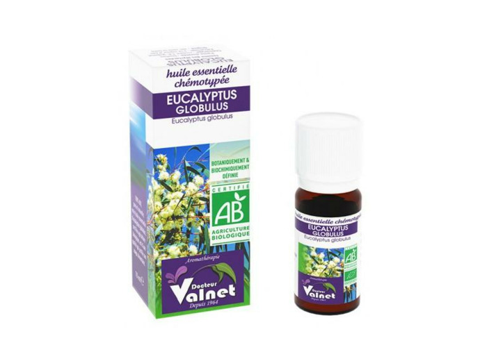 Eucalyptus Globulus bio-10ml-Dr.Valnet