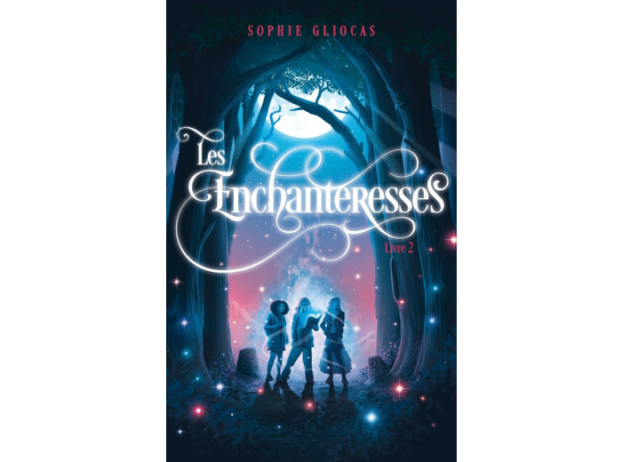 LES ENCHANTERESSES - TOME 2 - LES DISPARUES DE CHATEAUBRIAND