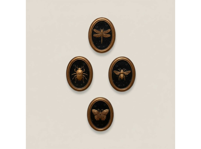 Ensemble 4 cadres insectes Entomologie 13x17cm