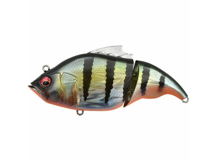 vatalion 115F  GG redfin perch