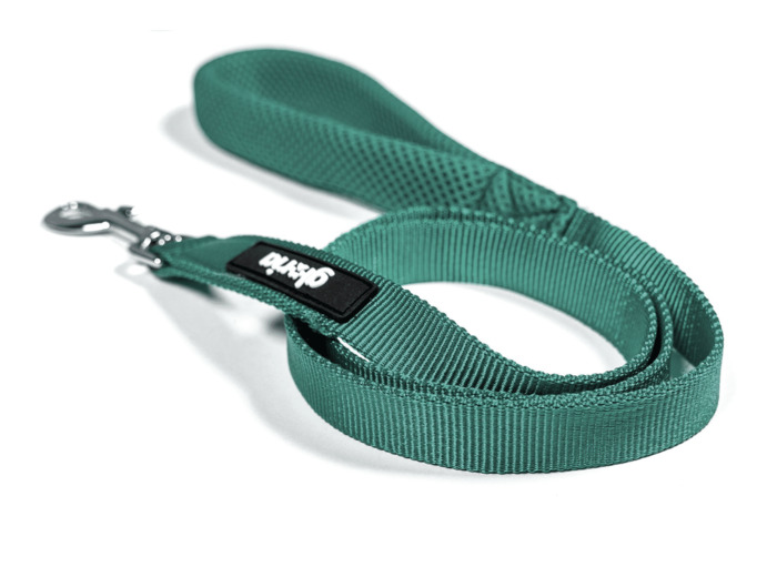 Laisse TREK STAR, turquoise pour chiens - 120cm x 1,5cm