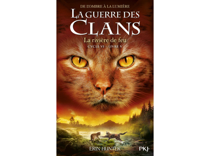 GUERRE DES CLANS, CYCLE VI - TOME 5 LA RIVIERE DE FEU - VOL05