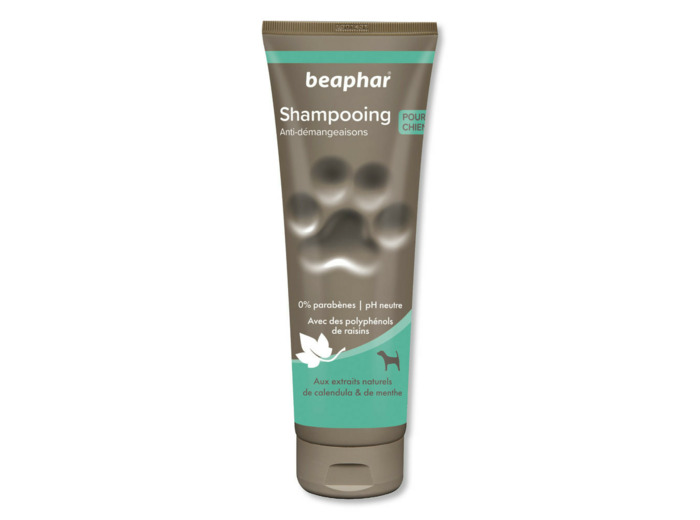 Shampooing premium chien anti-démangeaisons - 250ml
