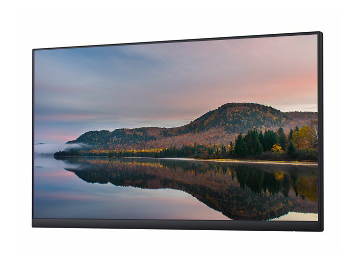 Dell P2422HWOS - LCD 24 - Ecran sans pied