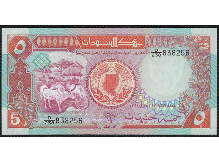 SOUDAN 5 POUNDS 1991 Série D238 NEUF (W45)