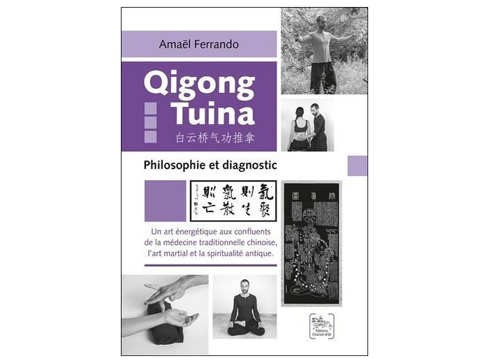 Qigong Tuina - Un art énergétique aux confluents de la médecine traditionnelle chinoise, l'art martial et la spiritualité antique - Philosophie et diagnostic