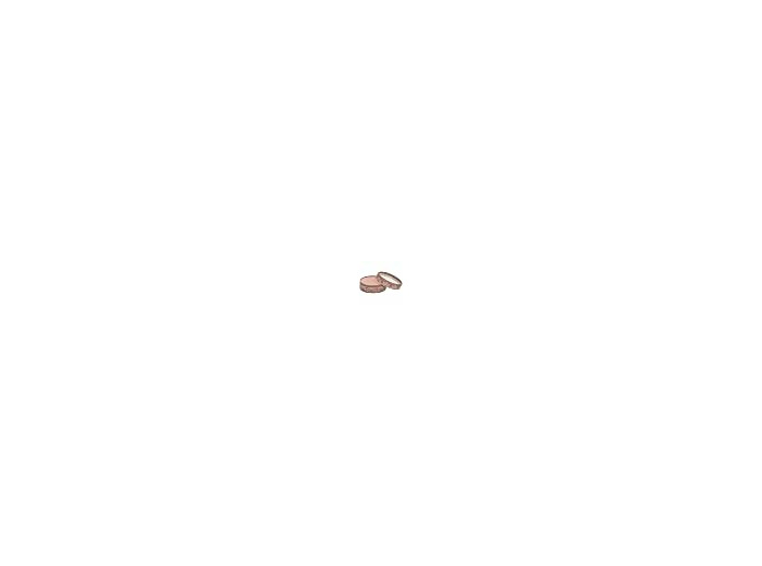 FAJ 04 rose 4.5g Boho Green
