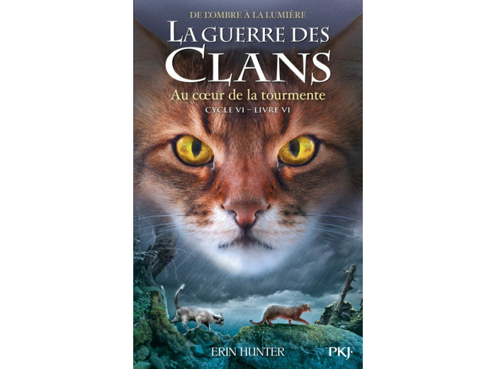LA GUERRE DES CLANS, CYCLE VI - TOME 6 AU COEUR DE LA TOURMENTE - VOL06