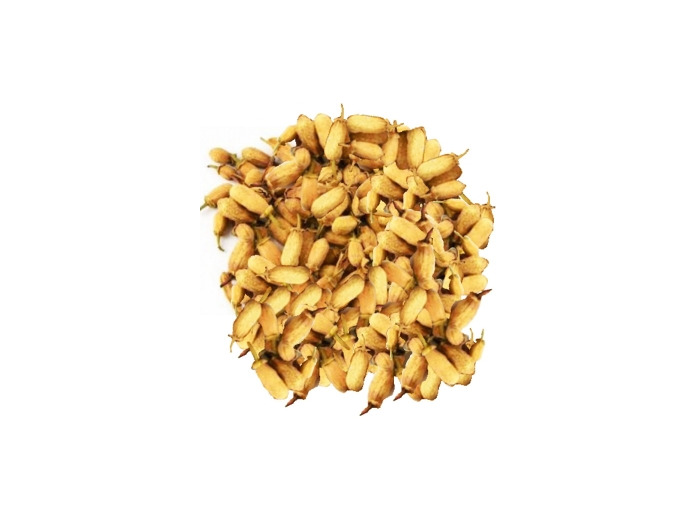 Oranger Bigaradier bouton Bio 100g