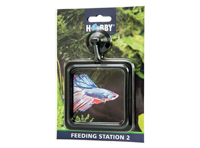 Feeding Station 2 - 10 x 10 cm