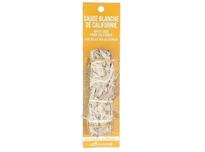 Sauge Blanche Californie Tresse