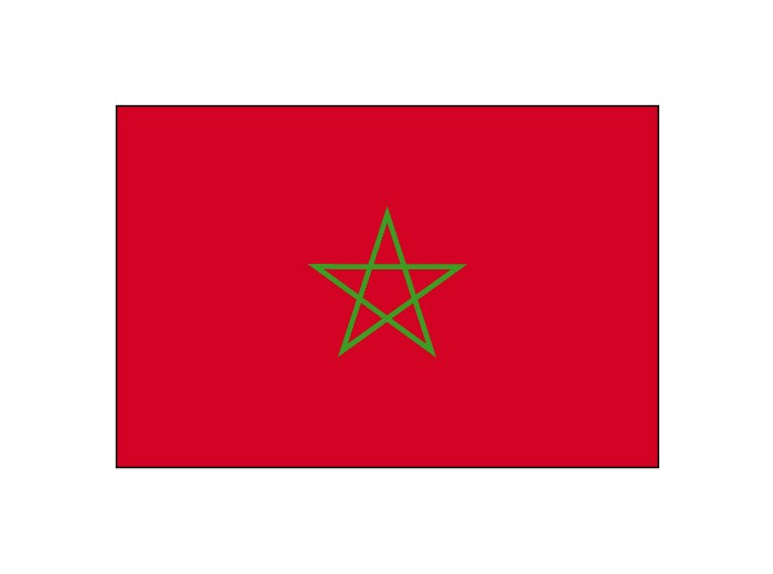 Drapeau Maroc (150*90 cm)