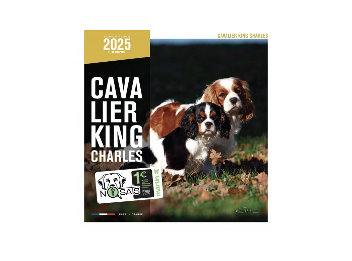 Calendrier chien 2025 - Cavalier King Charles - Martin