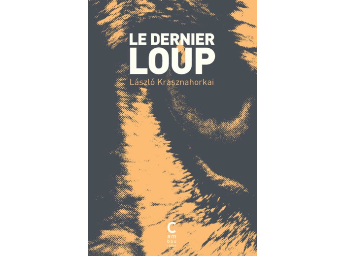 LE DERNIER LOUP (POCHE)
