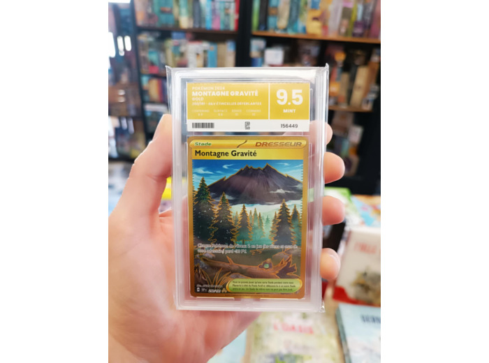 Carte Gradée Montagne Gravité (SSP 250)