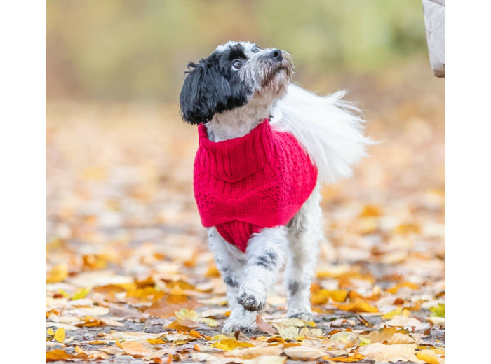 TRIXIE, Pullover NORWOOD