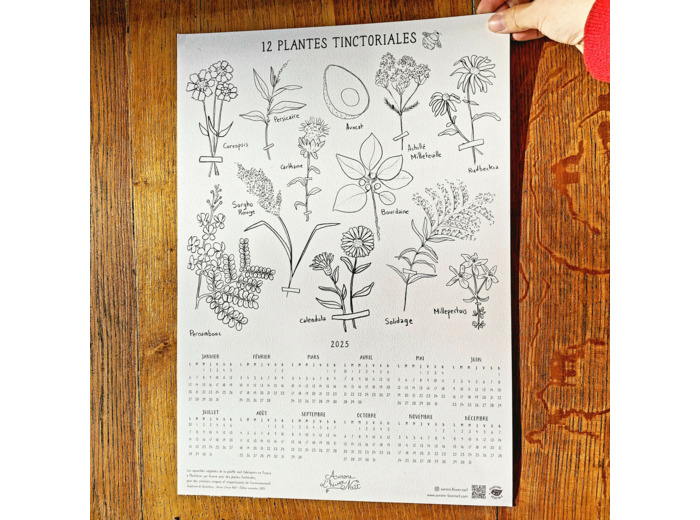 Calendrier 2025 - Les plantes tinctoriales