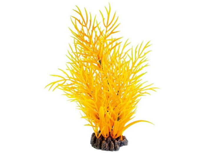 SUPERFISH, Plante orange - 25cm