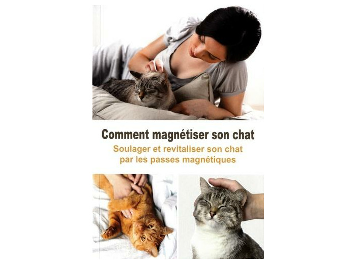 Comment magnétiser son chat - Soulager et revitaliser son chat par les passes magnétiques