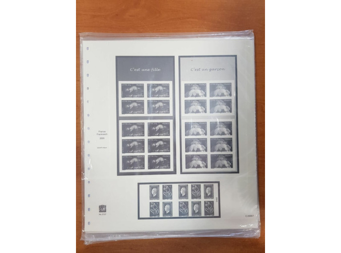 FEUILLE COMPLEMENTAIRE FRANCE 2005 CARNETS (JEUX AVEC POCHETTE) SAFE